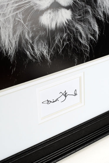 David Attenborough Signed White Card - Lion Display