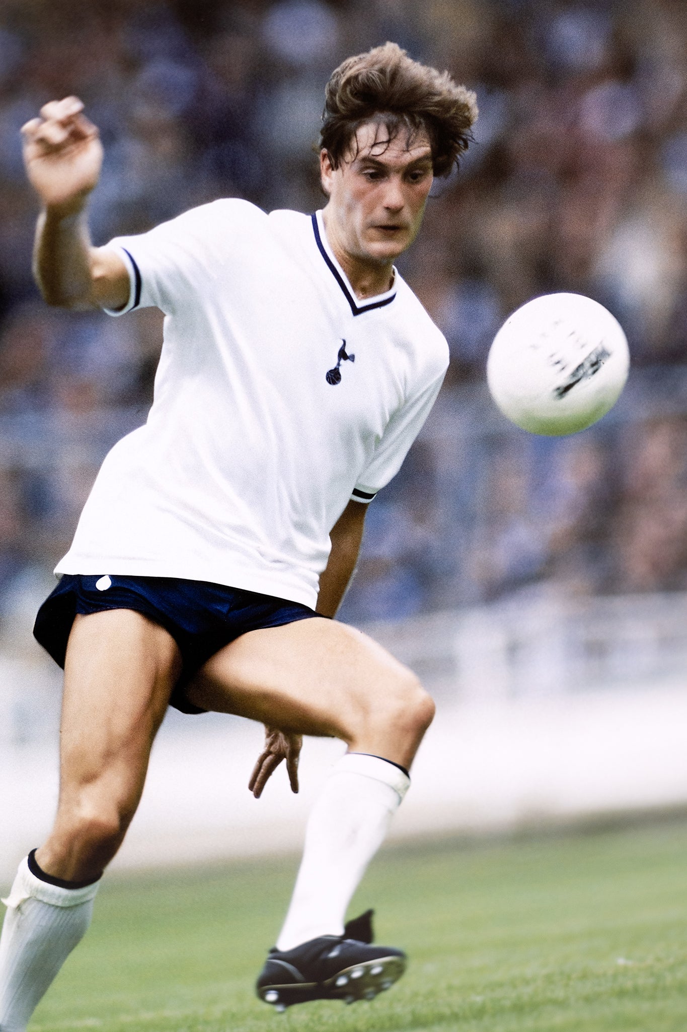 Glenn Hoddle - Sigend Whitecard Tottenham Display