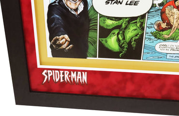 Spiderman Comic Signed by Stan Lee Framed Display - Memorabilia Framers Shop