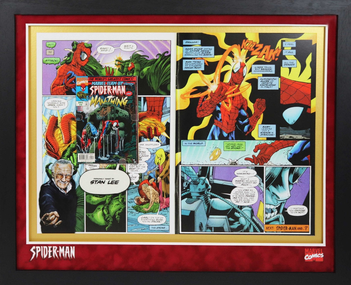 Spiderman Comic Signed by Stan Lee Framed Display - Memorabilia Framers Shop