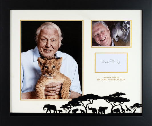 David Attenborough Signed Photograph Display