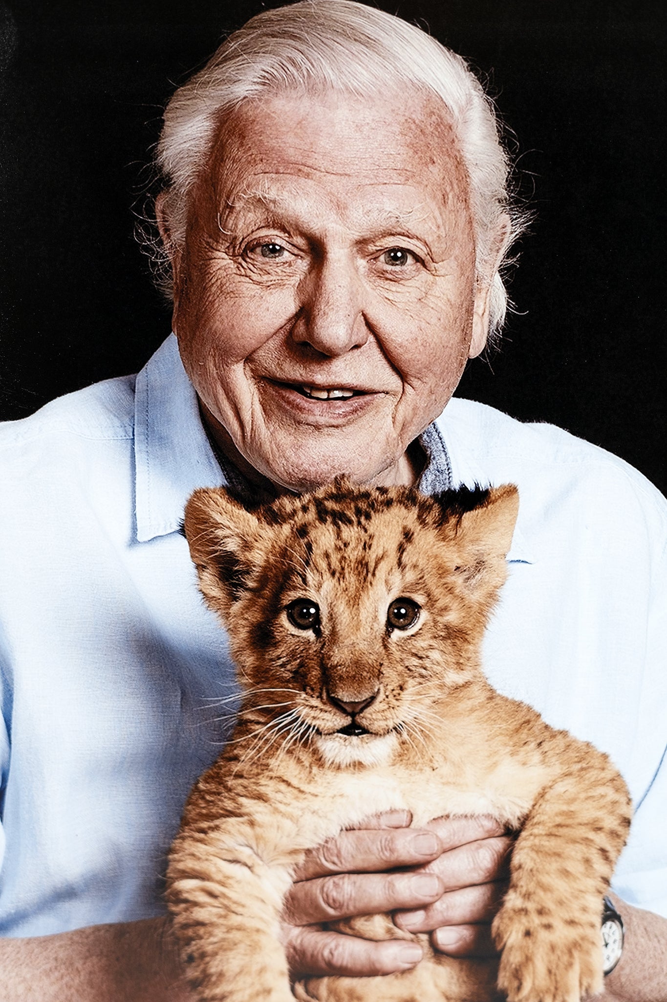 David Attenborough Signed Photograph Display