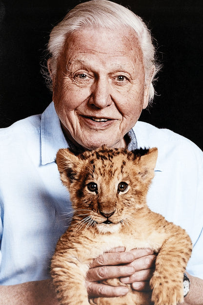 David Attenborough Signed Photograph Display