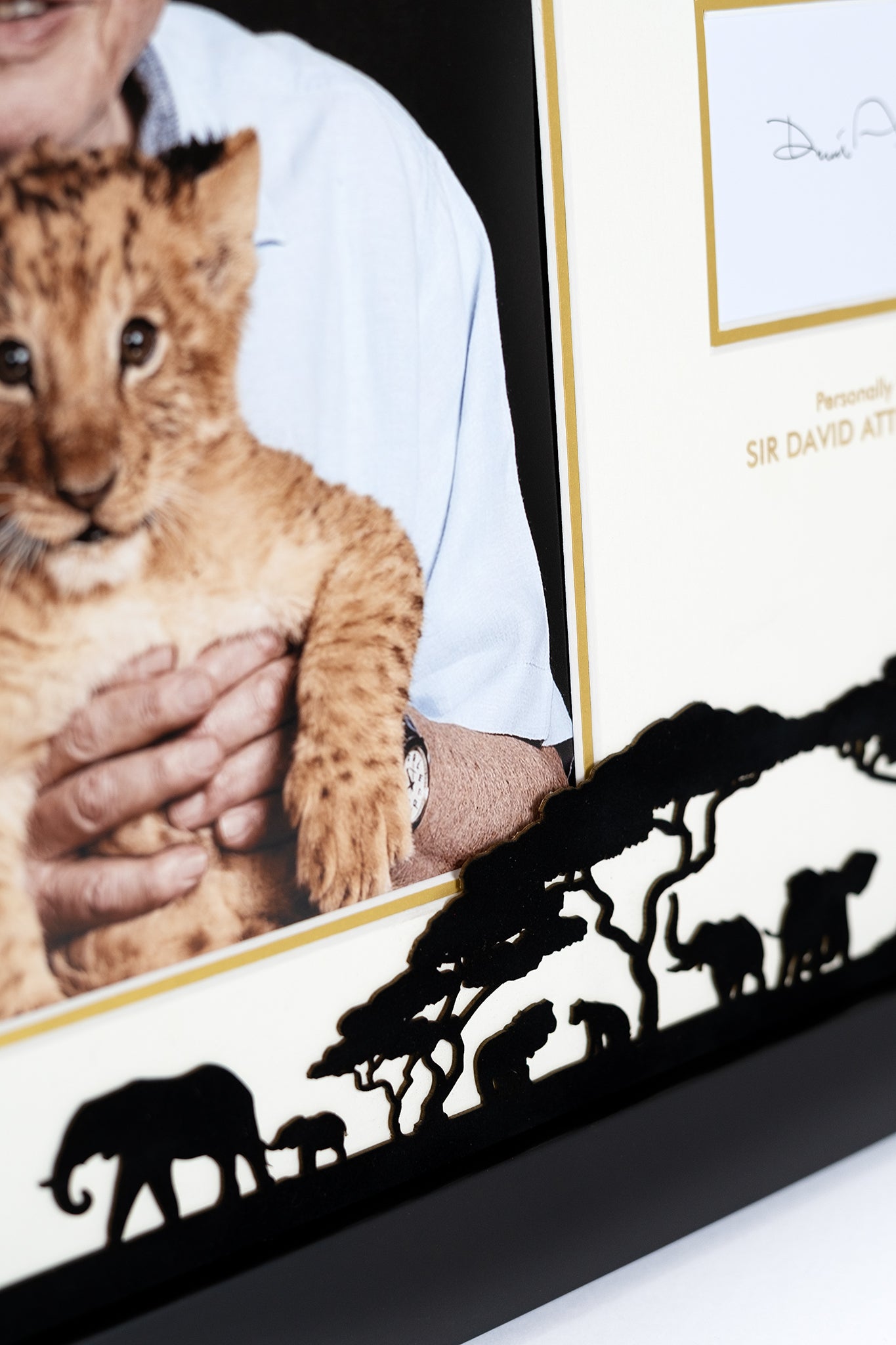 David Attenborough Signed Photograph Display