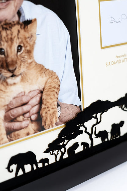 David Attenborough Signed Photograph Display