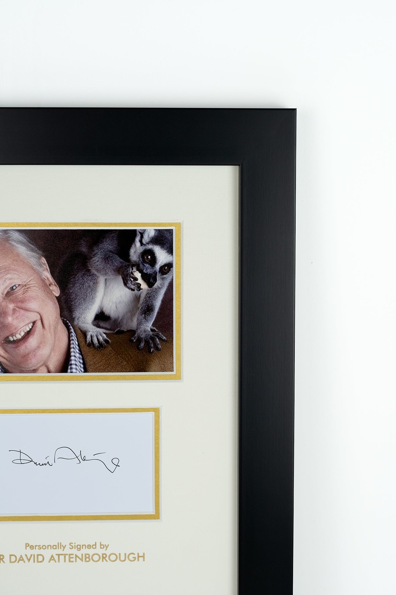 David Attenborough Signed Photograph Display