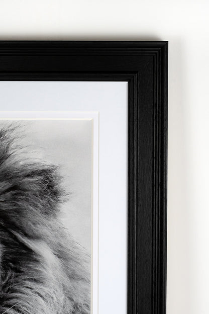 David Attenborough Signed White Card - Lion Display