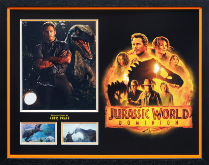 Chris Pratt Jurassic Park Signed Framed Display