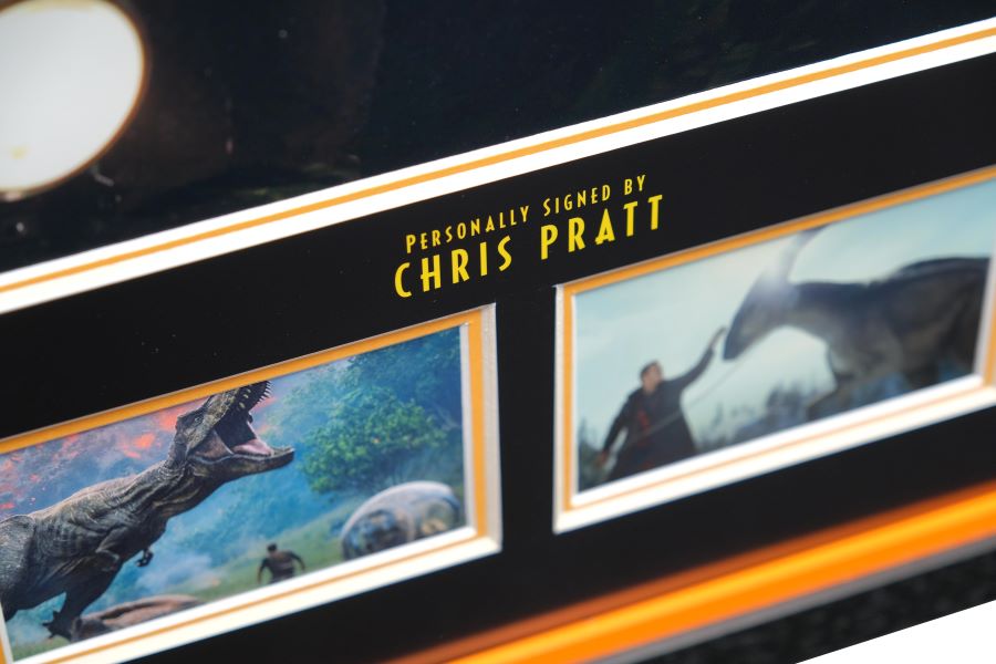 Chris Pratt Jurassic Park Signed Framed Display