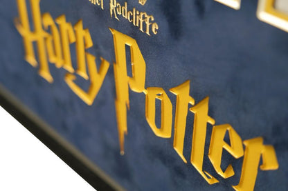 Daniel Radcliffe Signed Harry Potter 12x16 Photograph Framed Display With Wand - Memorabilia Framers Shop