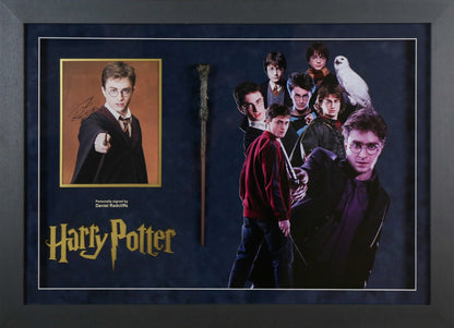 Daniel Radcliffe Signed Harry Potter 12x8 Photograph Framed Display With Wand - Memorabilia Framers Shop