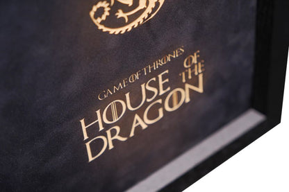 House of Dragon Poster Signed by Paddy Considine - Memorabilia Framers Shop