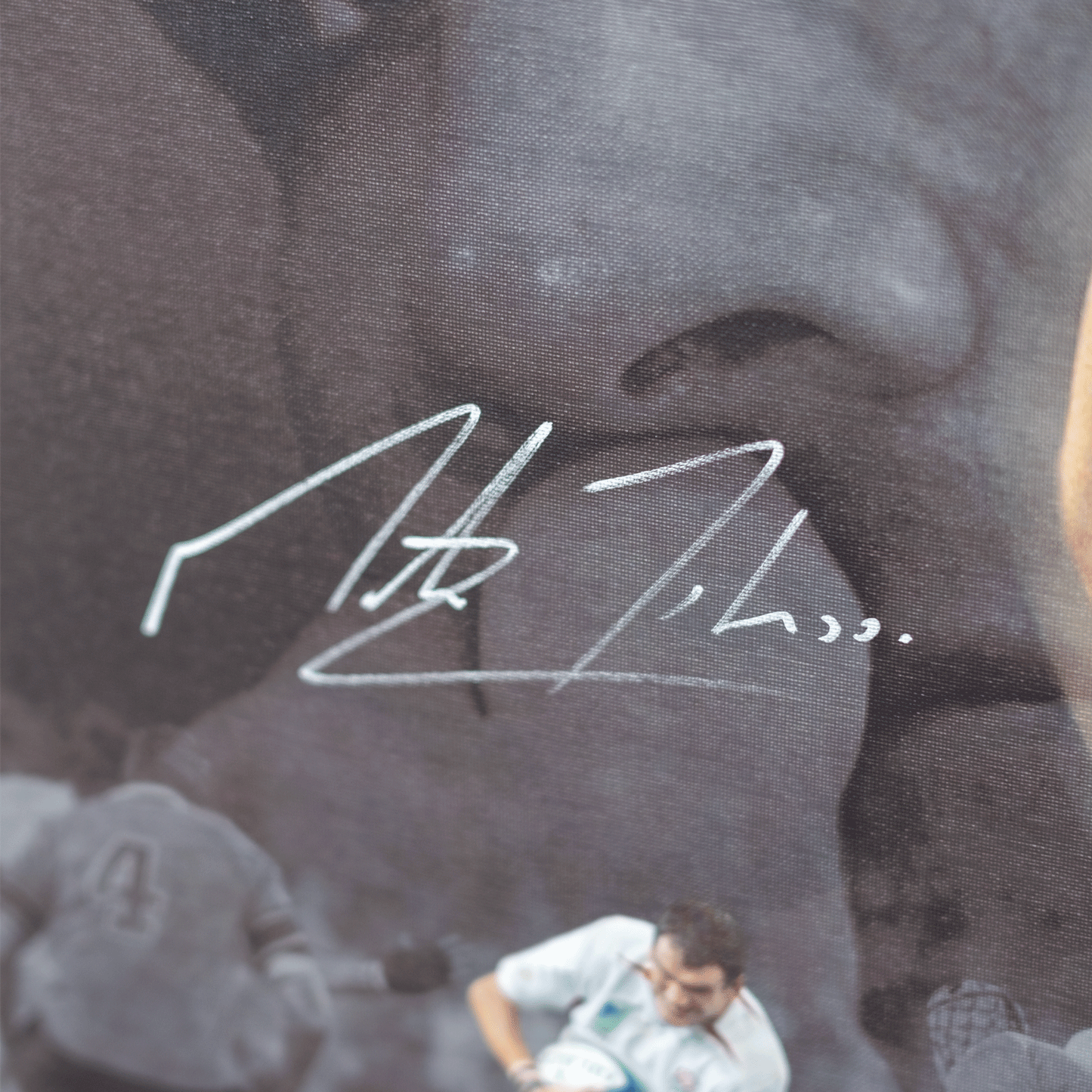 Martin Johnson Signed Canvas Display