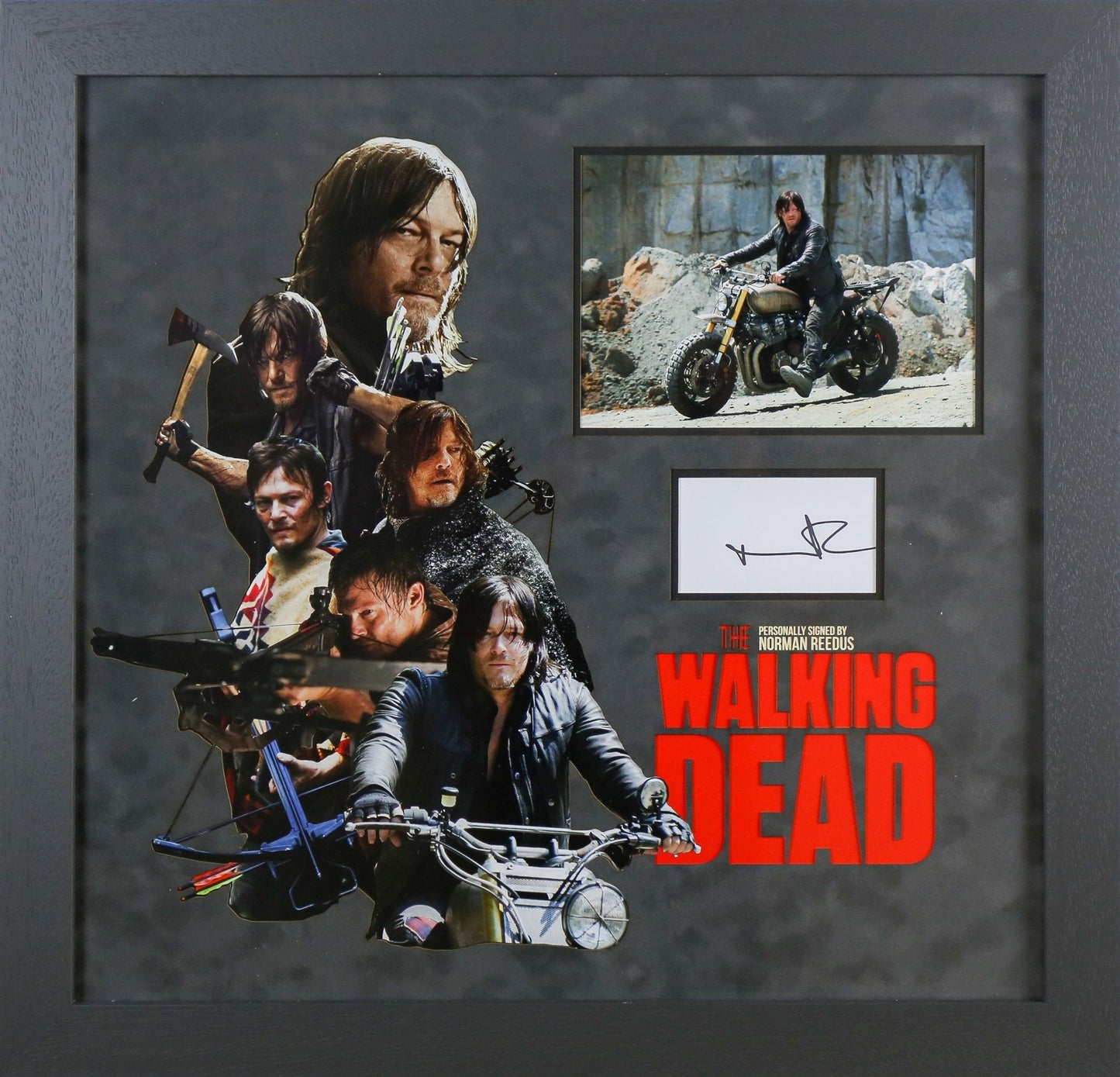 Norman Reedus Signed Walking Dead White card Framed Display - Memorabilia Framers Shop