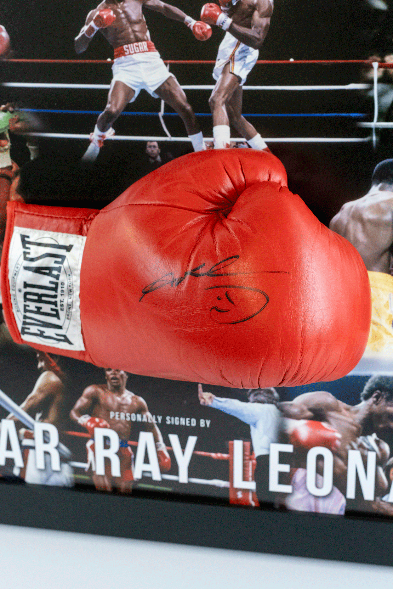 Sugar Ray Leonard Signed Glove Framed Display