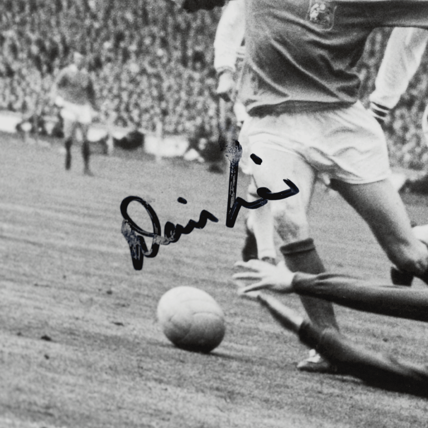 Denis Law Signed Photograph