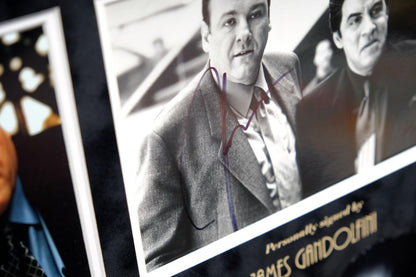 The Sopranos Display Signed by James Gandolfini - Memorabilia Framers Shop