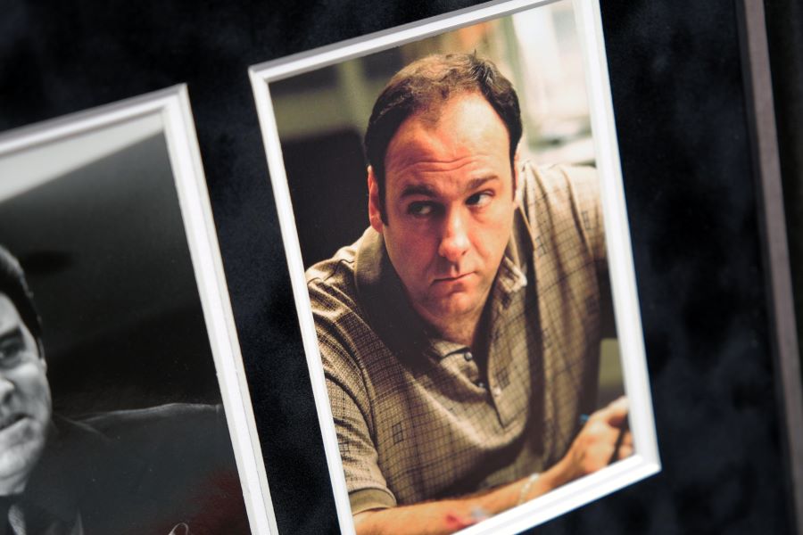 The Sopranos Display Signed by James Gandolfini - Memorabilia Framers Shop